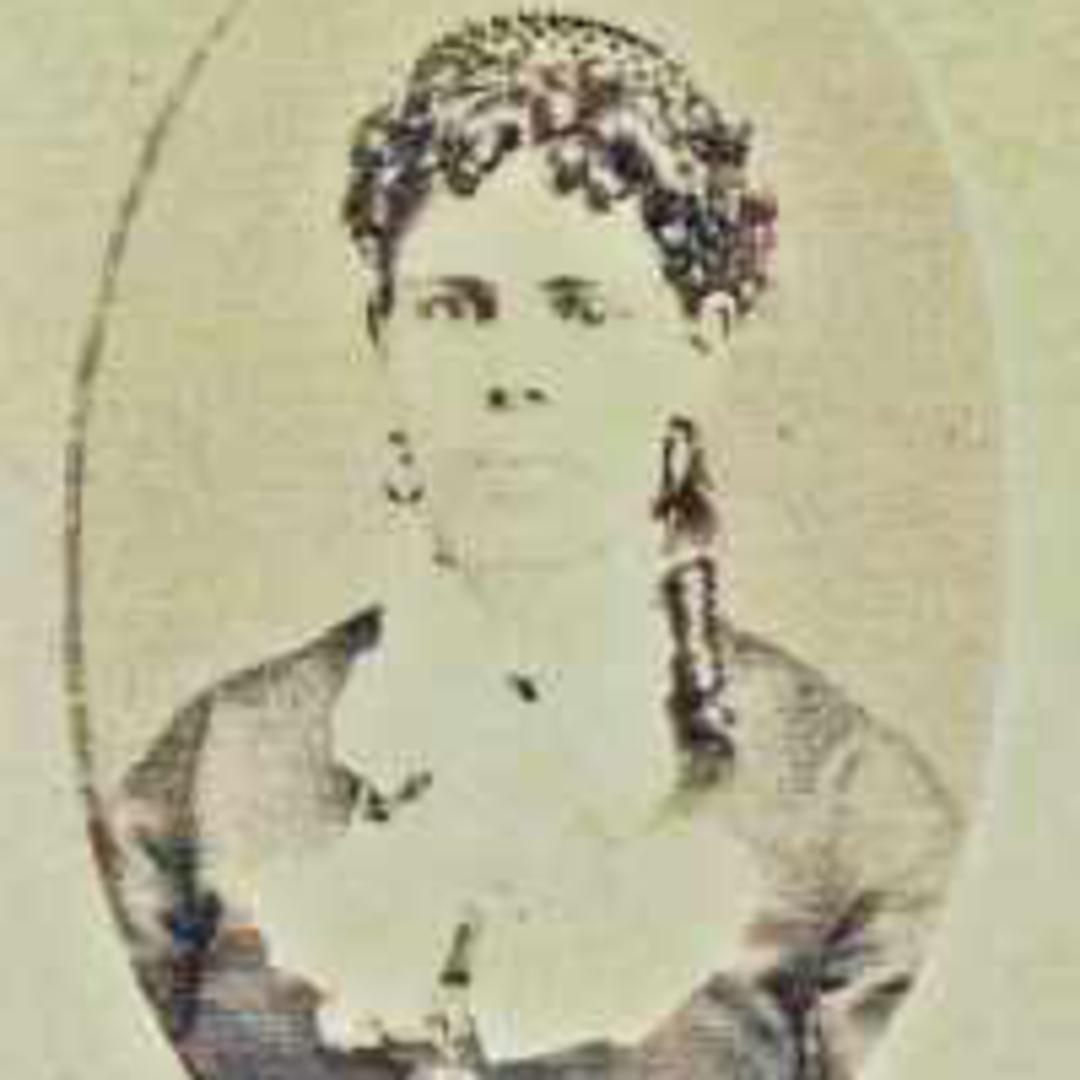 Mary Lavina Bell (1845 - 1924) Profile